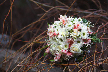 Similar image 11315994