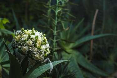 Similar image 11315999