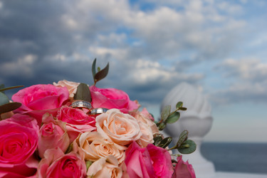 Similar image 11316006