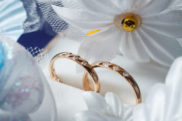 Similar image 11316039