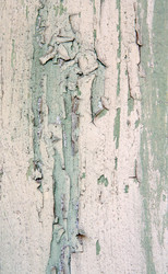 Similar image 11317023