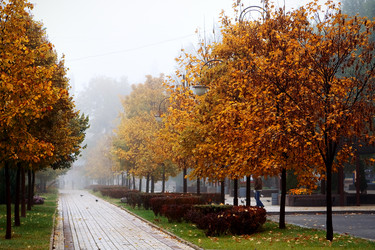 Similar image 11317025