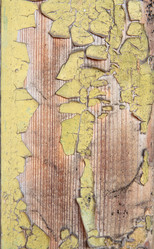 Similar image 11317313