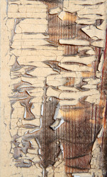 Similar image 11317363