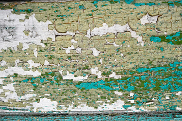 Similar image 11315235