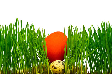 Similar image 11315255