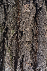 Similar image 11315273