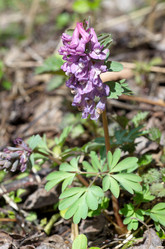 Similar image 11330054