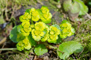 Similar image 11330060