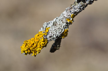 Similar image 11330062