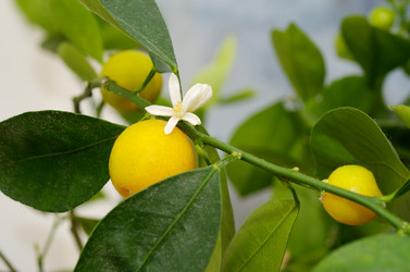 Similar image 11327906