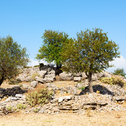 Similar image 11321552