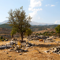 Similar image 11321563