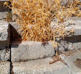 Similar image 11321634