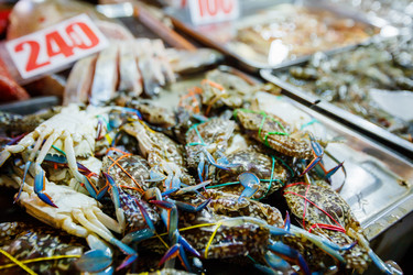 Similar image 11321919