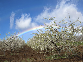 Similar image 11321030