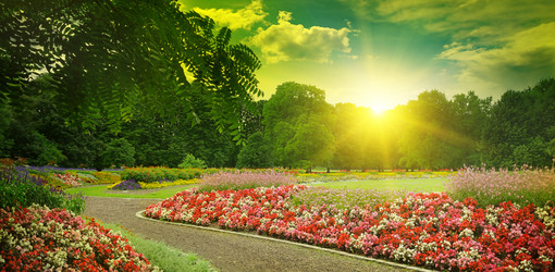 Similar image 11316370