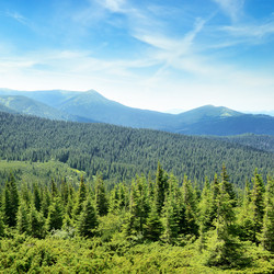 Similar image 11316638