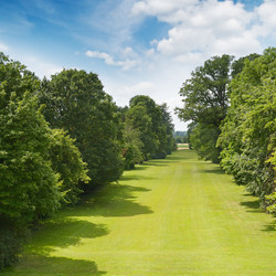 Similar image 11316641