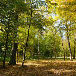 Similar image 11316652