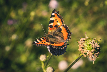 Similar image 11330069