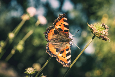 Similar image 11330070