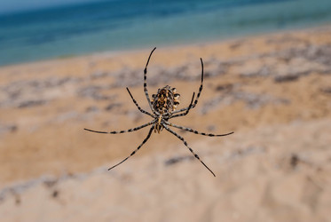 Similar image 11320922