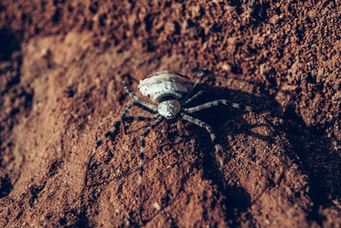 Similar image 11330074