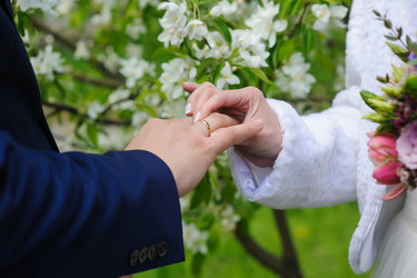 Similar image 11368740