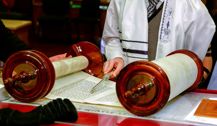 Similar image 11330113