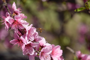 Similar image 11330763