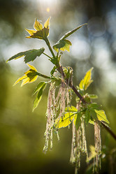 Similar image 11327803