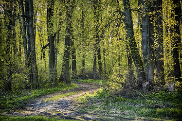 Similar image 11327529