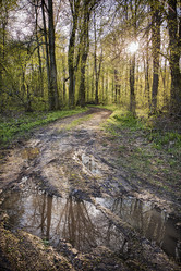 Similar image 11327531