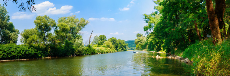 Similar image 11332435