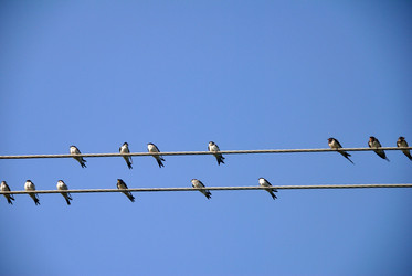 Similar image 11368746