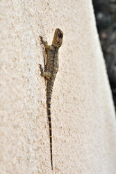 Similar image 11368748