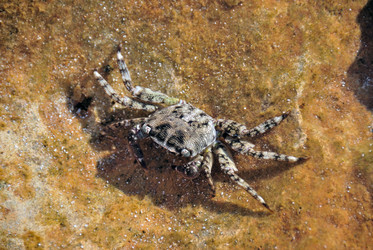 Similar image 11368755