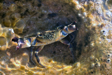 Similar image 11368757