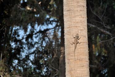 Similar image 11368758