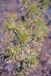 Similar image 11368761