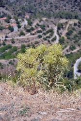 Similar image 11368762