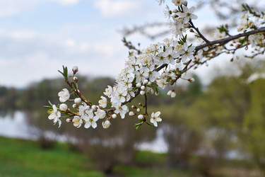 Similar image 11384069