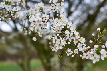 Similar image 11384071