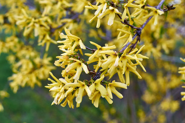 Similar image 11384072