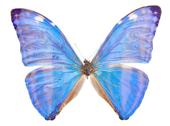 Similar image 11390188