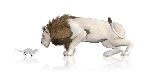 Similar image 11390260