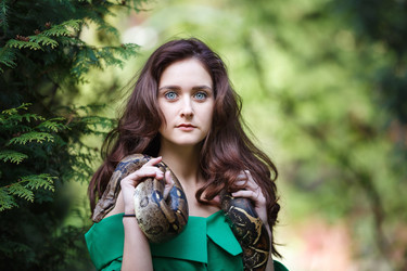 Similar image 11385204