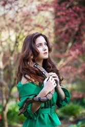 Similar image 11385206