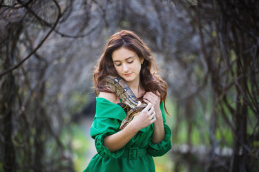 Similar image 11385222